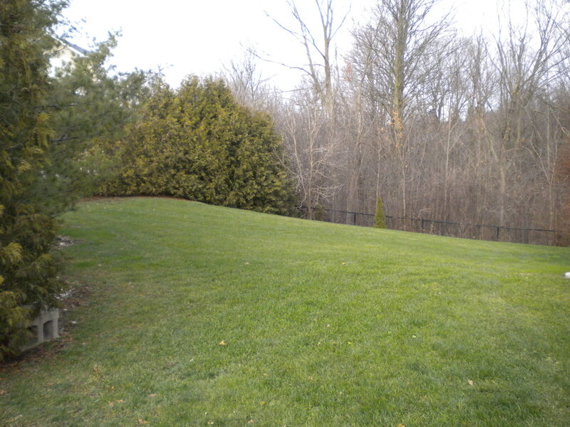 Cloud Nine — the property before work began, photo 3 of 4