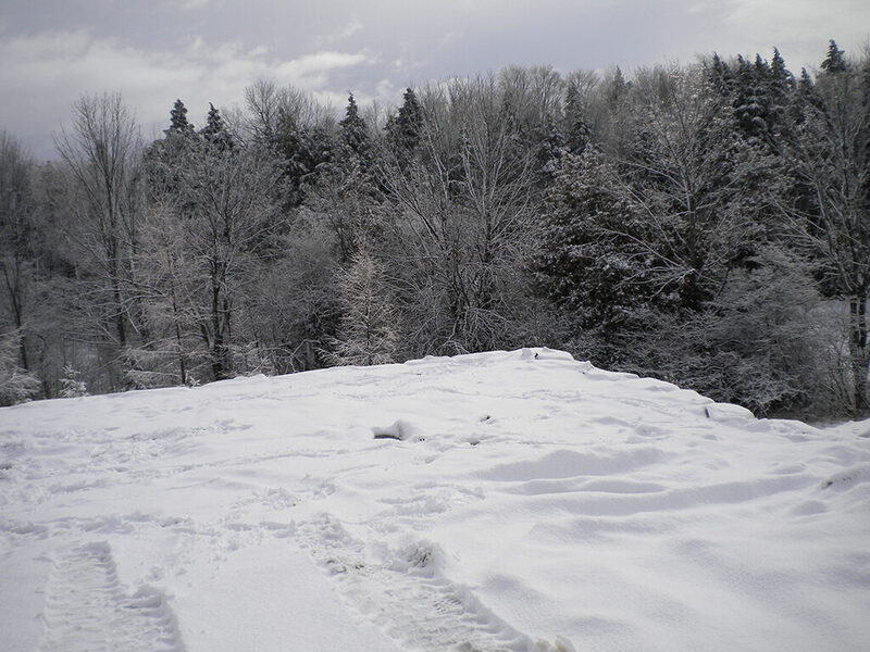 Valley Hill — the property before work began, photo 2 of 8