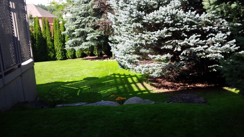 Meadow Peak — the property before work began, photo 1 of 8
