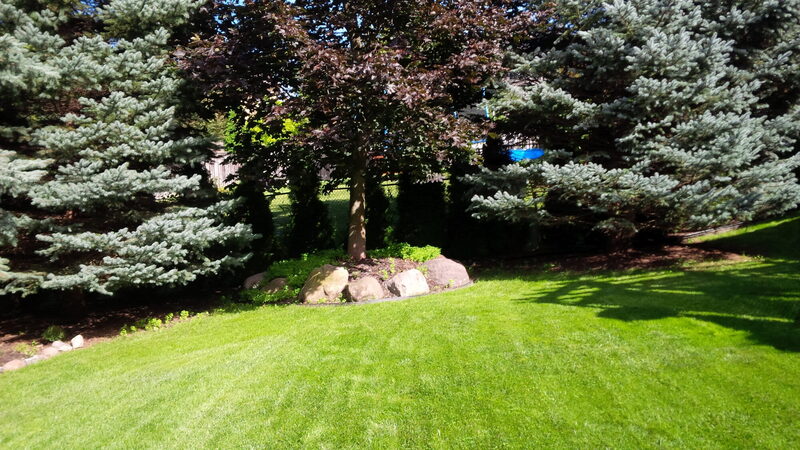Meadow Peak — the property before work began, photo 2 of 8