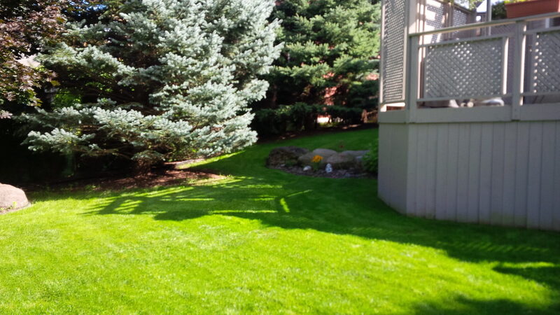 Meadow Peak — the property before work began, photo 3 of 8