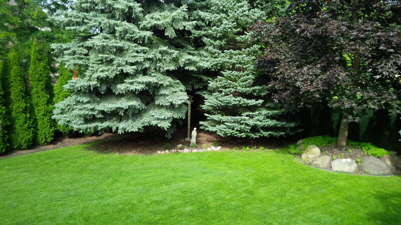Meadow Peak — the property before work began, photo 6 of 8